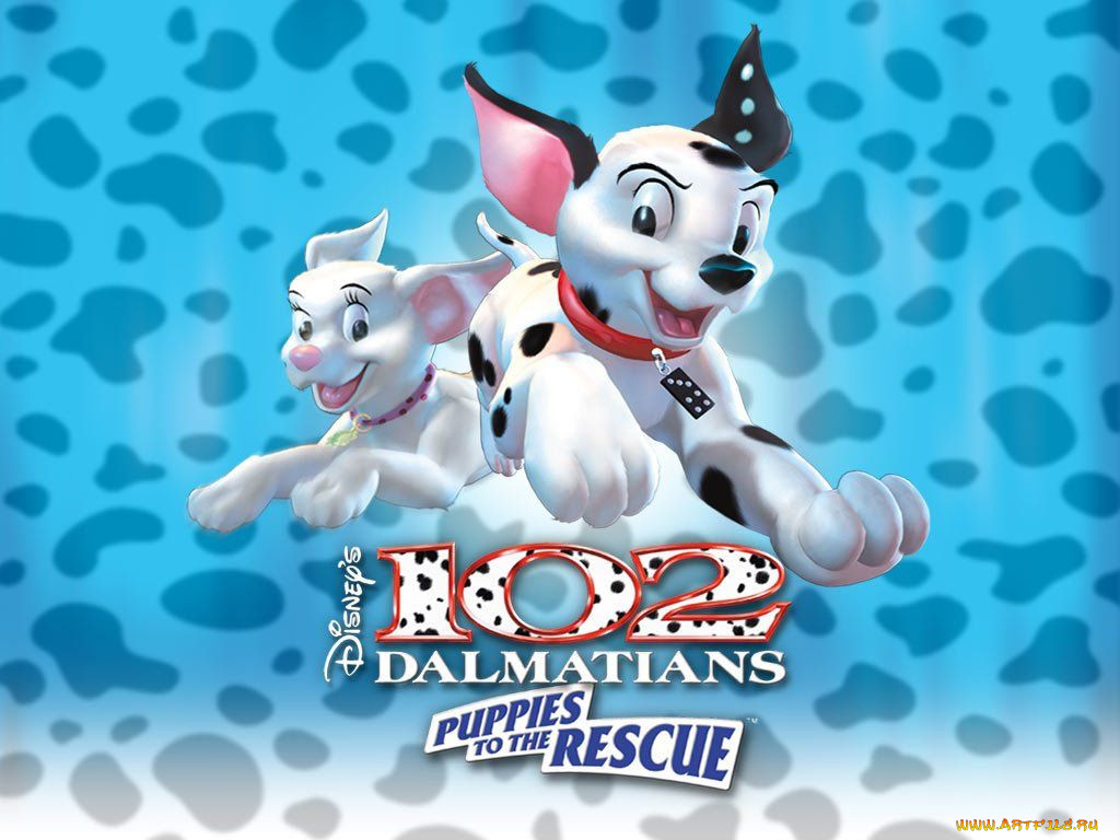 , 102, dalmatians